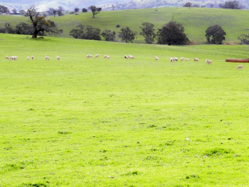 Lot 4 Salisbury Road, Bigga NSW 2583