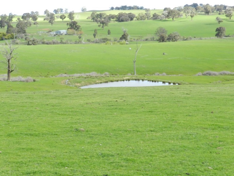 Lot 4 Salisbury Road, Bigga NSW 2583