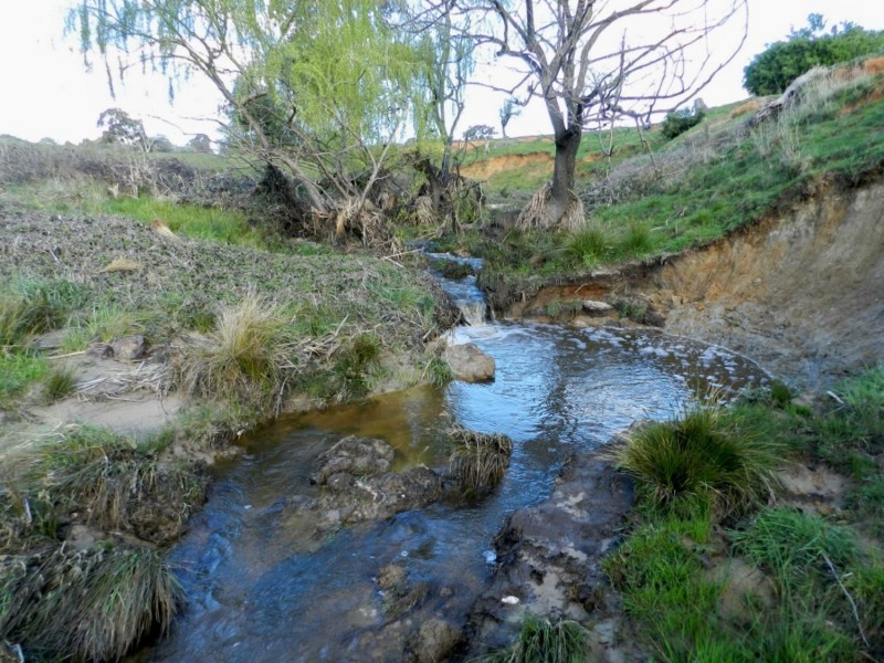 Lot 4 Salisbury Road, Bigga NSW 2583