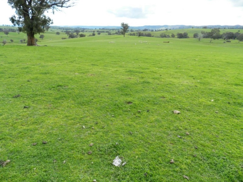 Lot 4 Salisbury Road, Bigga NSW 2583