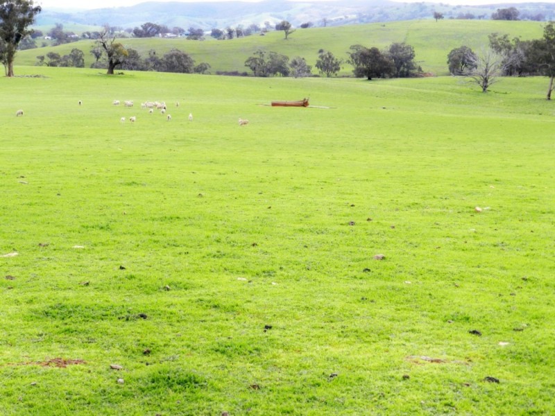 Lot 4 Salisbury Road, Bigga NSW 2583