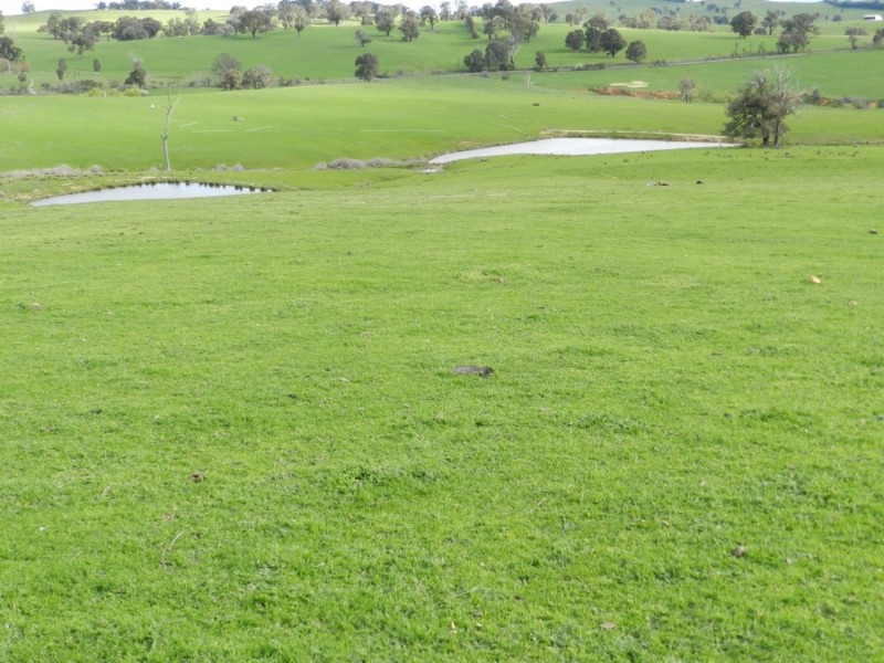 Lot 4 Salisbury Road, Bigga NSW 2583