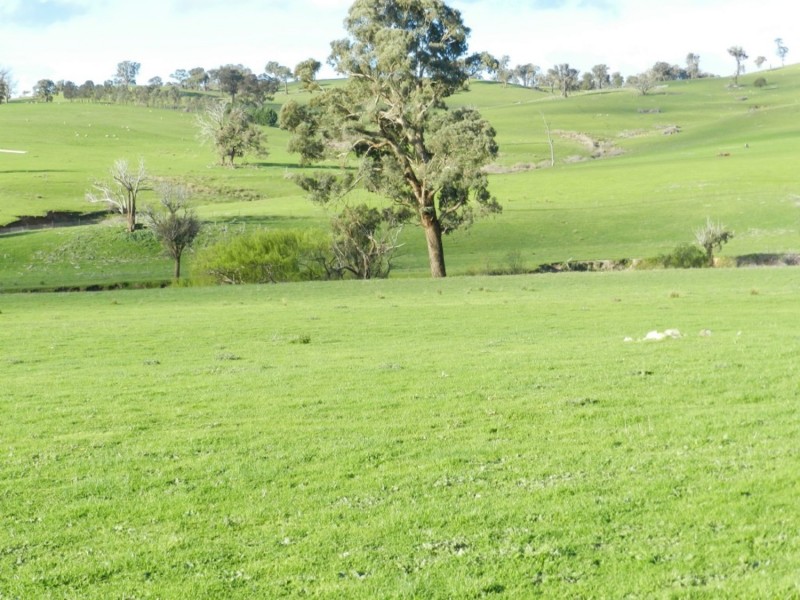 Lot 4 Salisbury Road, Bigga NSW 2583