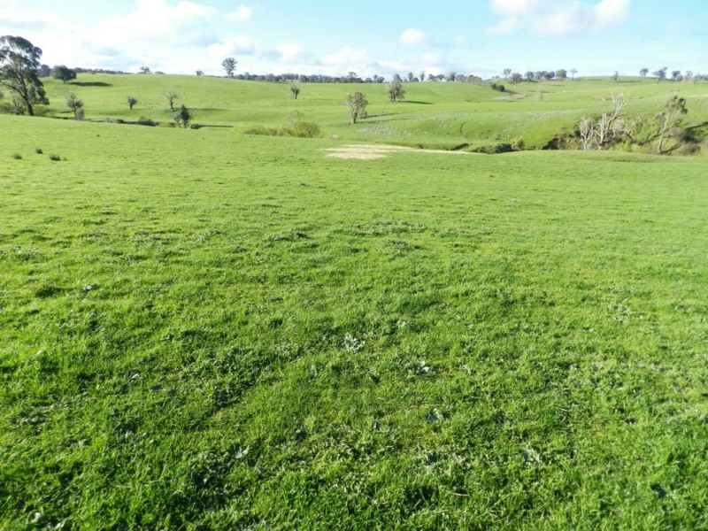 Lot 4 Salisbury Road, Bigga NSW 2583