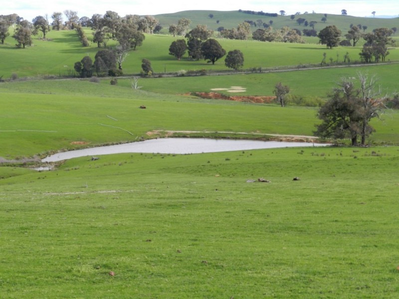 Lot 4 Salisbury Road, Bigga NSW 2583