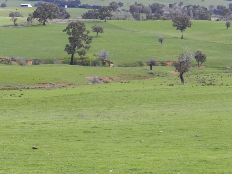 Lot 4 Salisbury Road, Bigga NSW 2583