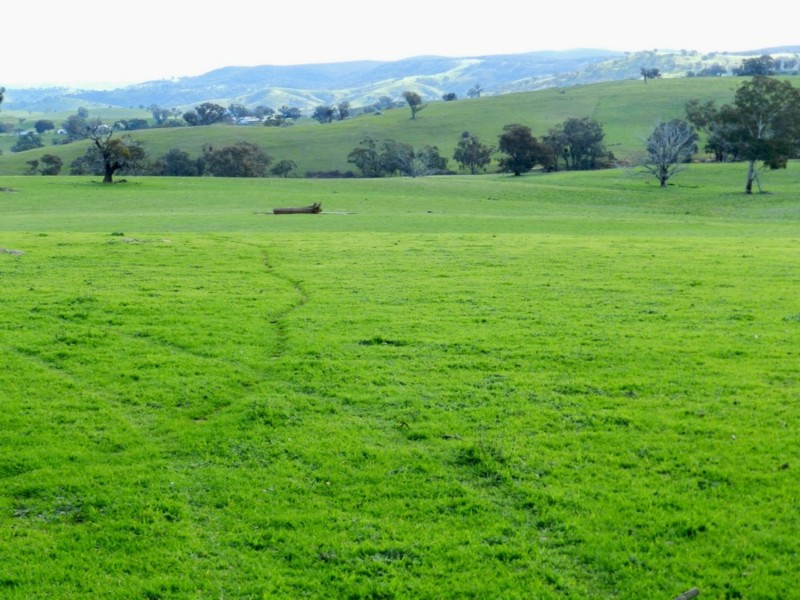 Lot 4 Salisbury Road, Bigga NSW 2583