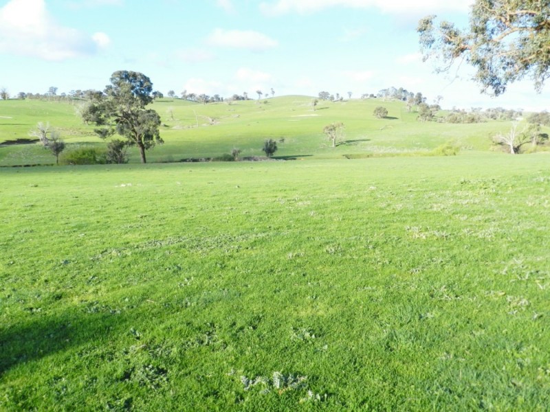 Lot 4 Salisbury Road, Bigga NSW 2583