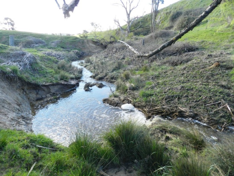 Lot 4 Salisbury Road, Bigga NSW 2583