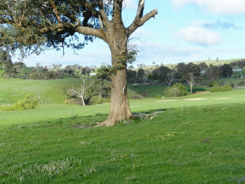 Lot 4 Salisbury Road, Bigga NSW 2583