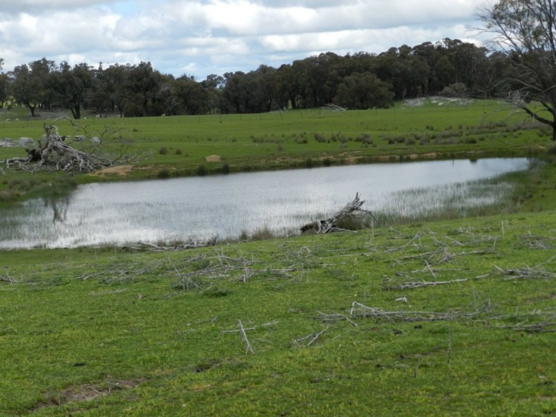 Lot 1 Bigga Road, Bigga NSW 2583