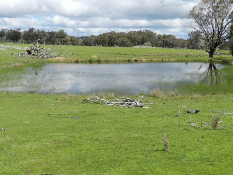 Lot 1 Bigga Road, Bigga NSW 2583