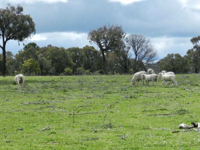 Lot 1 Bigga Road, Bigga NSW 2583