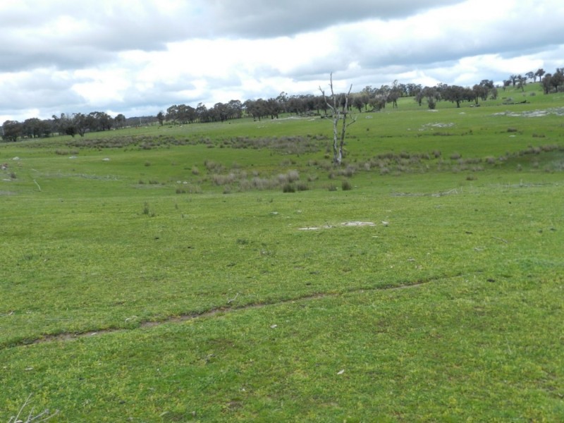 Lot 1 Bigga Road, Bigga NSW 2583