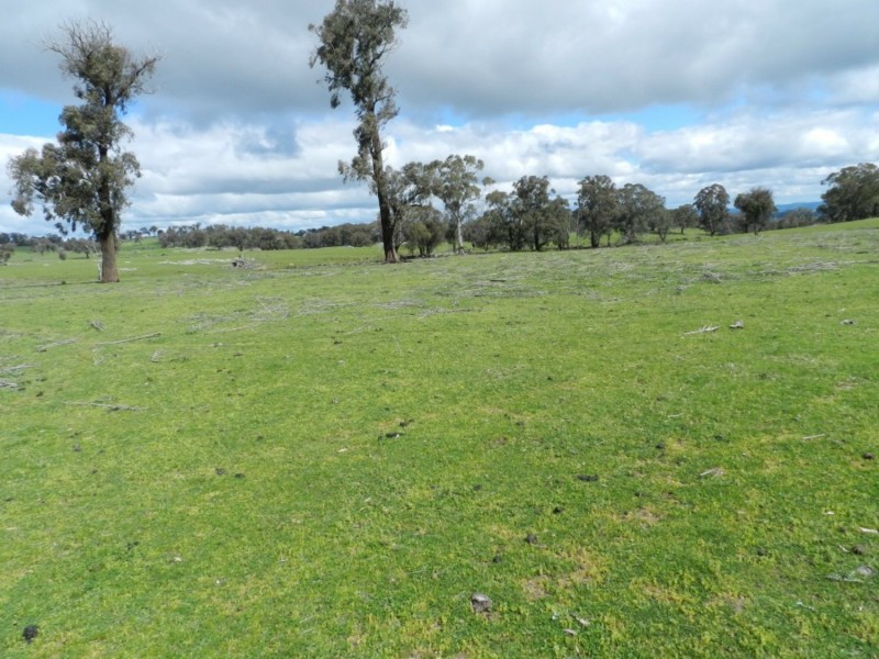 Lot 1 Bigga Road, Bigga NSW 2583