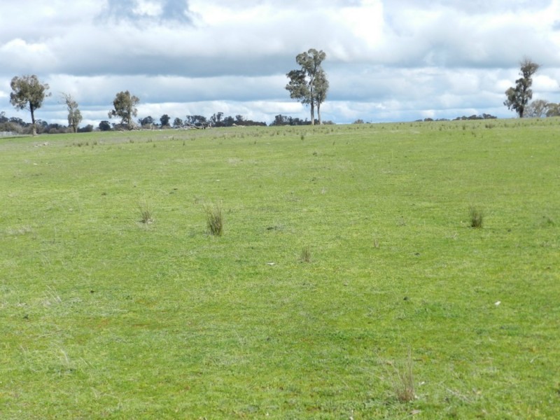 Lot 1 Bigga Road, Bigga NSW 2583