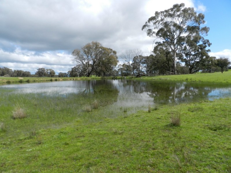 Lot 1 Bigga Road, Bigga NSW 2583