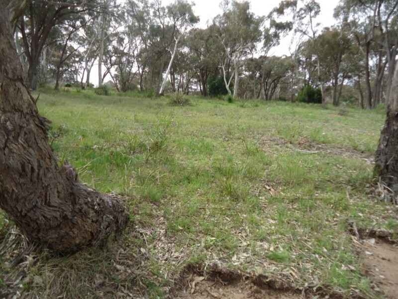 Jomagi Estate Off Slocombe Street, Goulburn NSW 2580