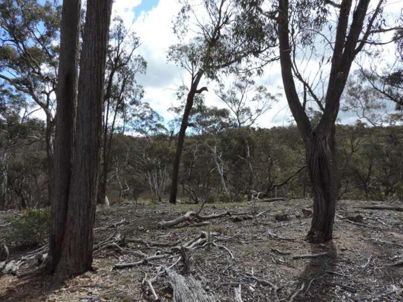 3798 Off Oallen Ford Road, Windellama NSW 2580