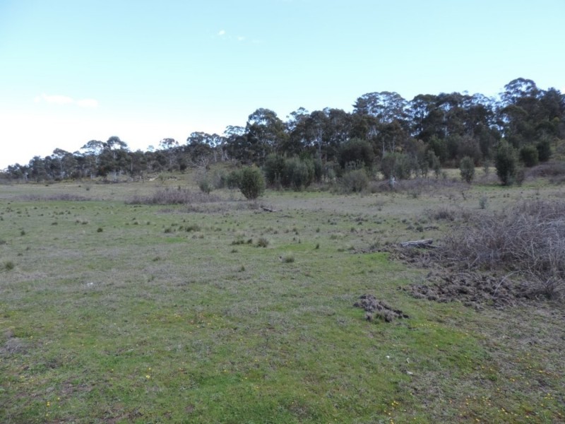 460 Spa Road, Windellama NSW 2580