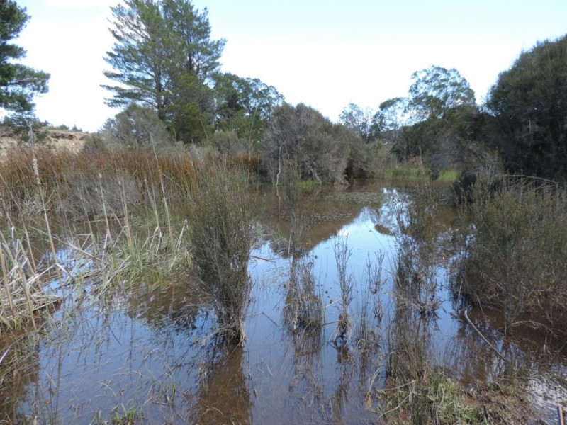 460 Spa Road, Windellama NSW 2580