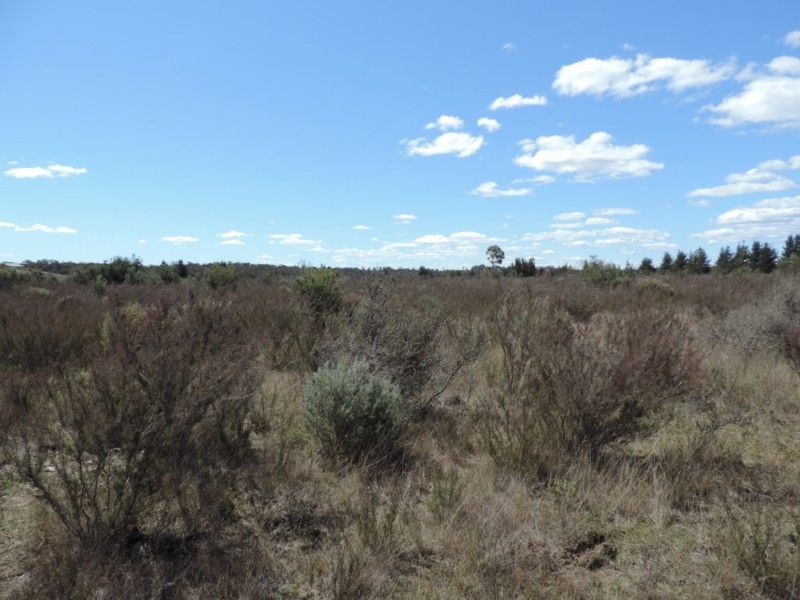 460 Spa Road, Windellama NSW 2580
