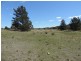 460 Spa Road, Windellama NSW 2580