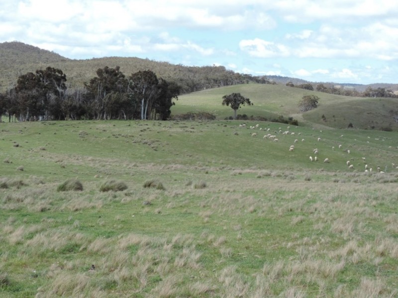 Lot 4 Middle Arm Road, Middle Arm NSW 2580