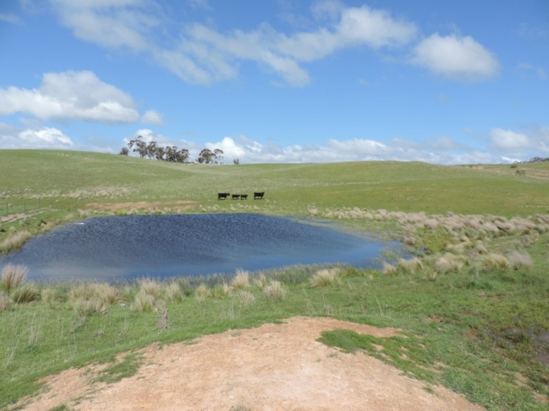 Lot 4 Middle Arm Road, Middle Arm NSW 2580