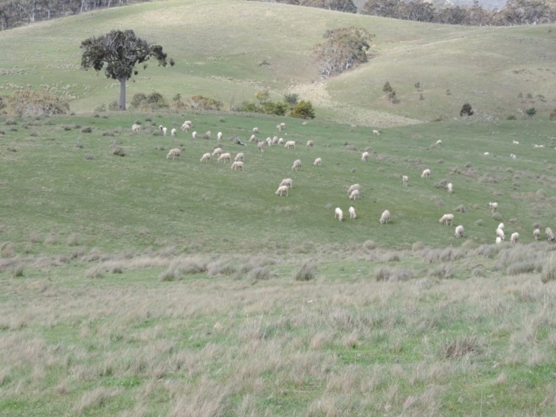 Lot 4 Middle Arm Road, Middle Arm NSW 2580