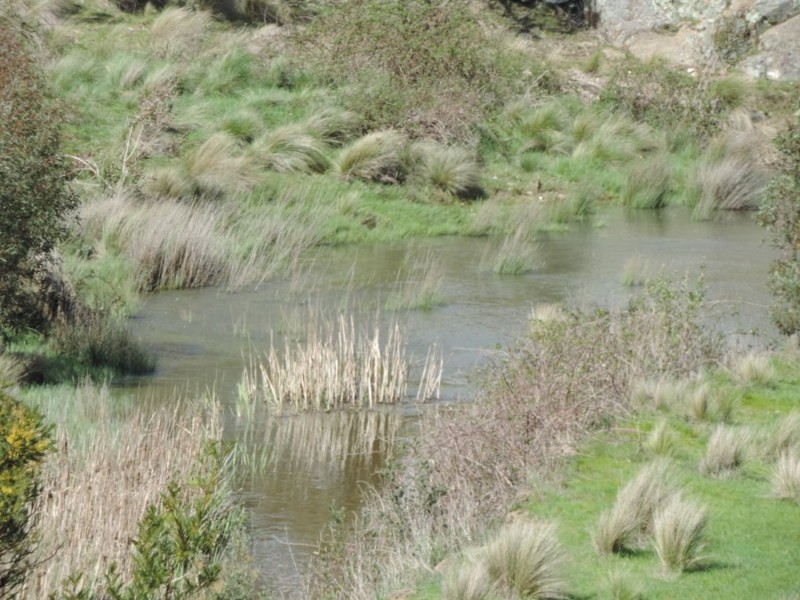 Lot 4 Middle Arm Road, Middle Arm NSW 2580