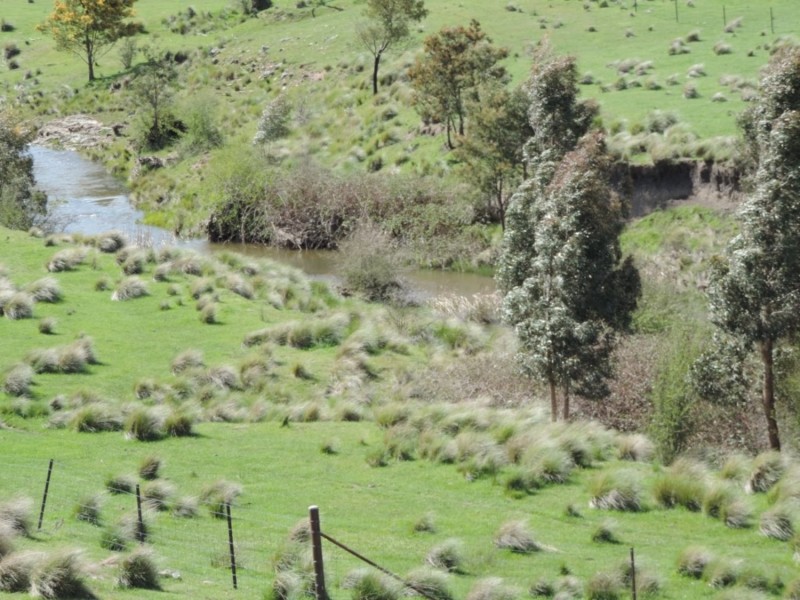 Lot 4 Middle Arm Road, Middle Arm NSW 2580