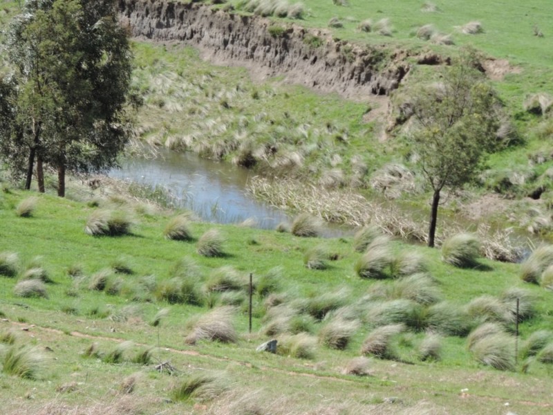 Lot 4 Middle Arm Road, Middle Arm NSW 2580