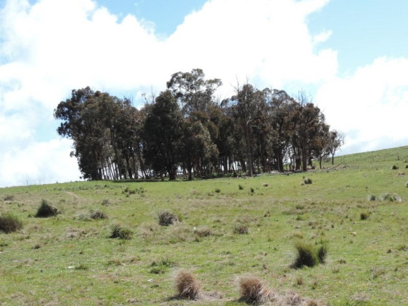 Lot 4 Middle Arm Road, Middle Arm NSW 2580