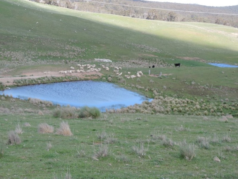 Lot 4 Middle Arm Road, Middle Arm NSW 2580