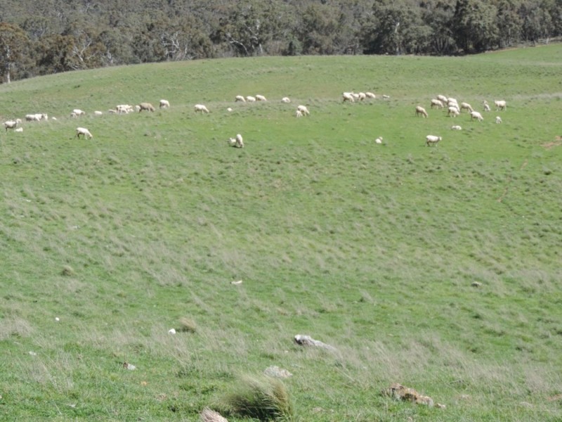 Lot 4 Middle Arm Road, Middle Arm NSW 2580