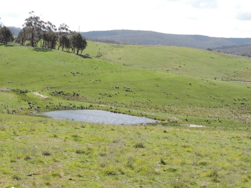 Lot 4 Middle Arm Road, Middle Arm NSW 2580