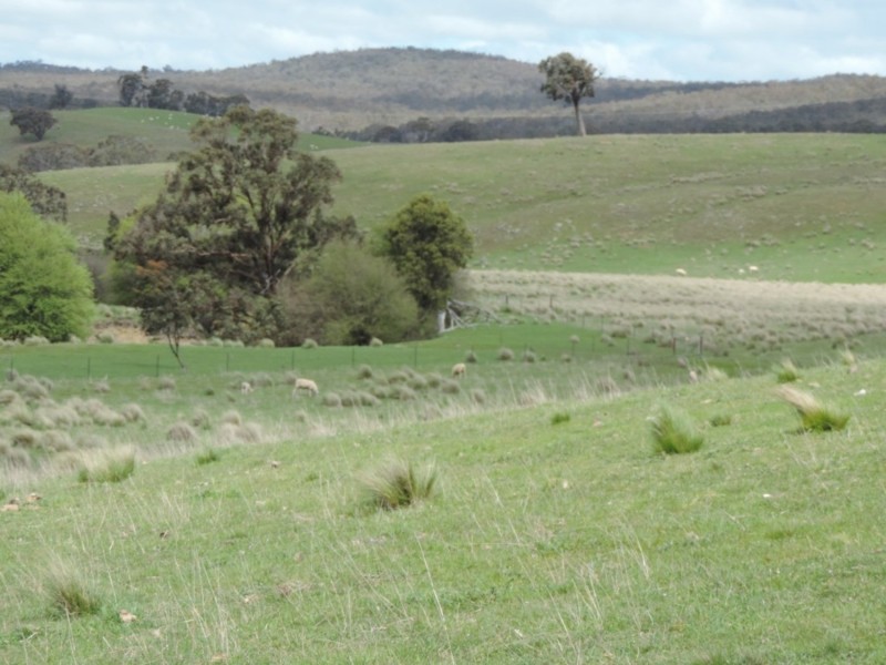 Lot 5 Middle Arm Road, Middle Arm NSW 2580