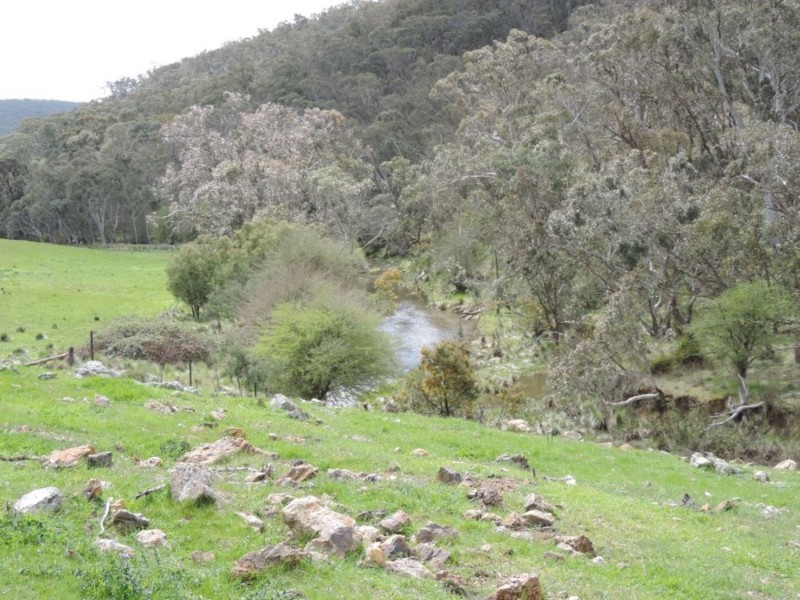 Lot 5 Middle Arm Road, Middle Arm NSW 2580