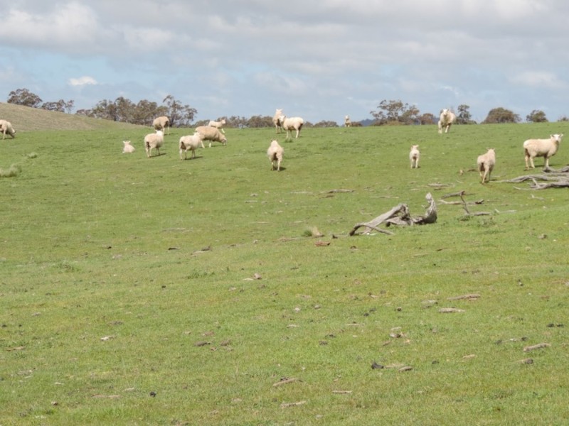 Lot 5 Middle Arm Road, Middle Arm NSW 2580