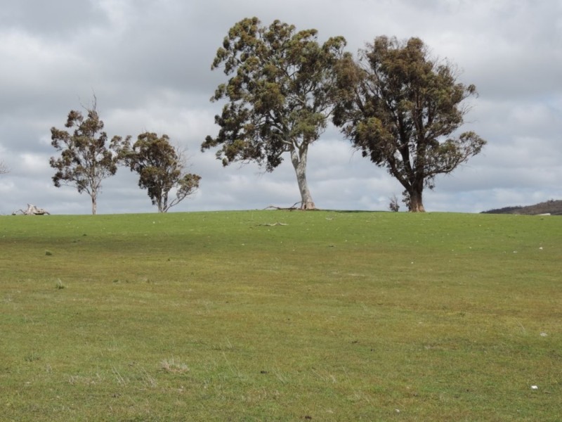 Lot 5 Middle Arm Road, Middle Arm NSW 2580