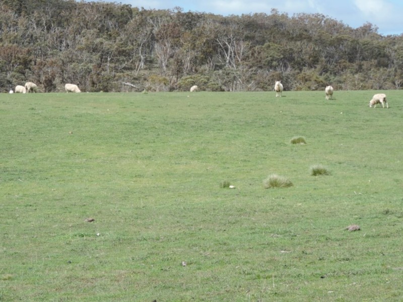 Lot 5 Middle Arm Road, Middle Arm NSW 2580