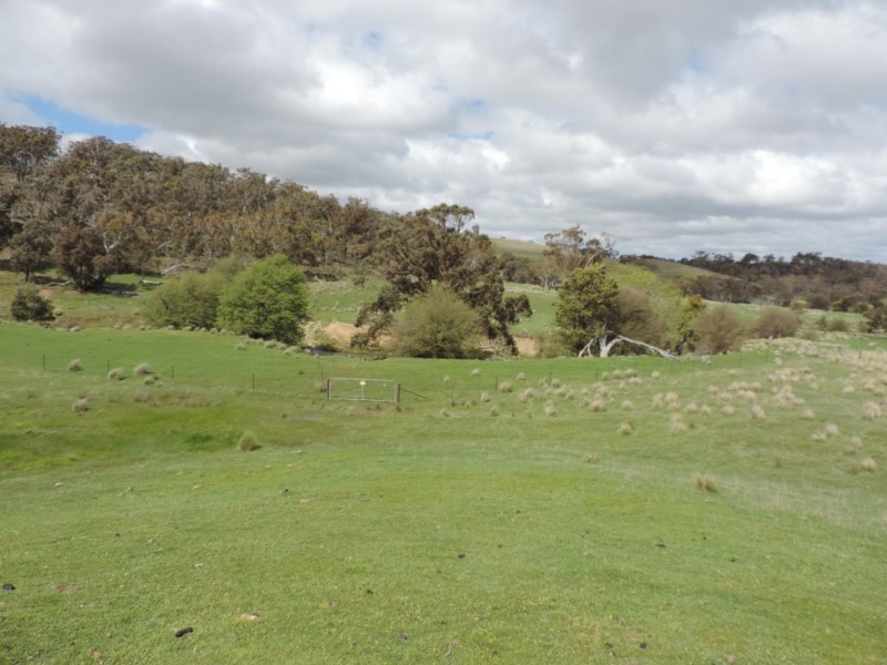 Lot 5 Middle Arm Road, Middle Arm NSW 2580