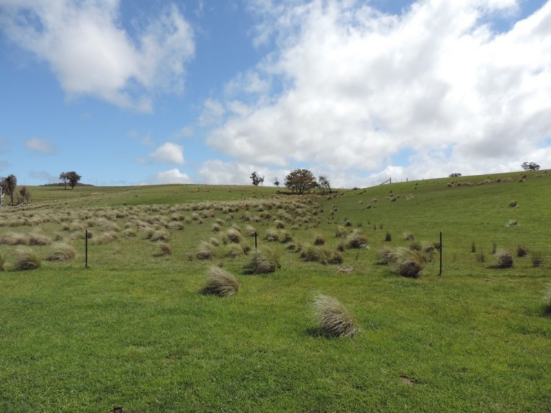 Lot 5 Middle Arm Road, Middle Arm NSW 2580