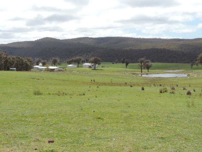 2544 Middle Arm Road, Middle Arm NSW 2580