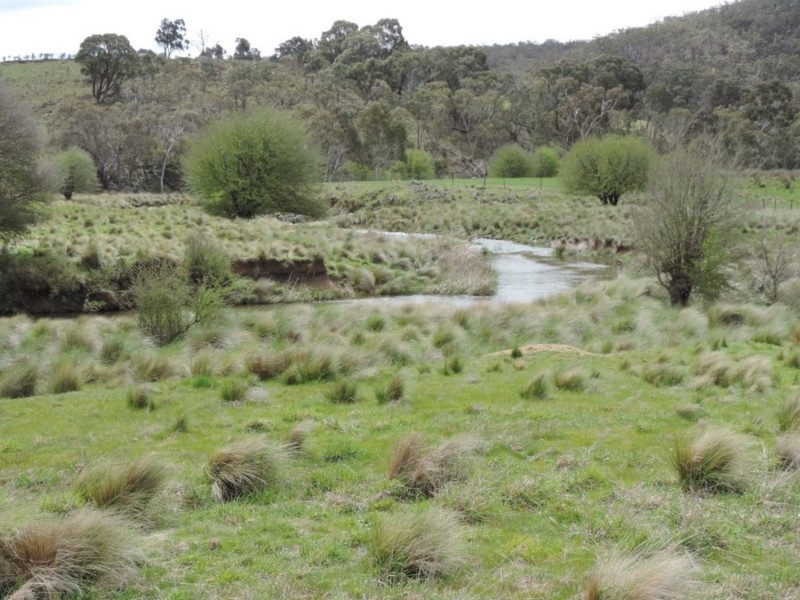 2544 Middle Arm Road, Middle Arm NSW 2580