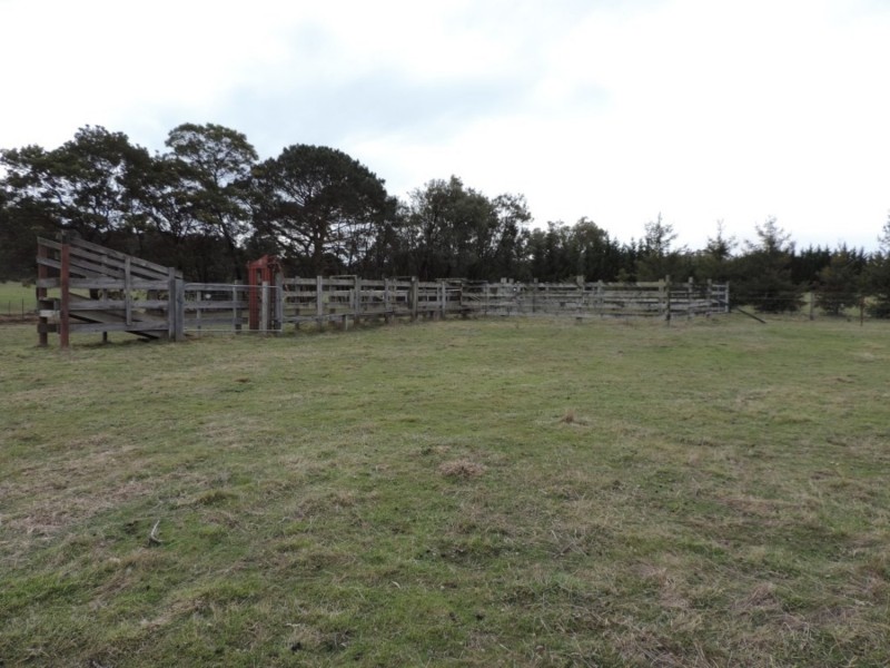 2544 Middle Arm Road, Middle Arm NSW 2580
