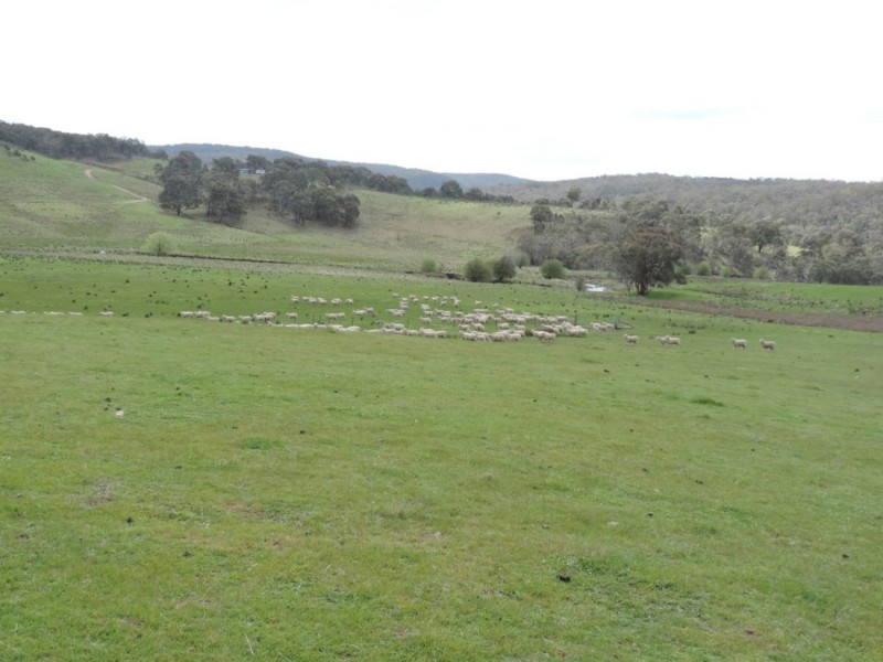 2544 Middle Arm Road, Middle Arm NSW 2580