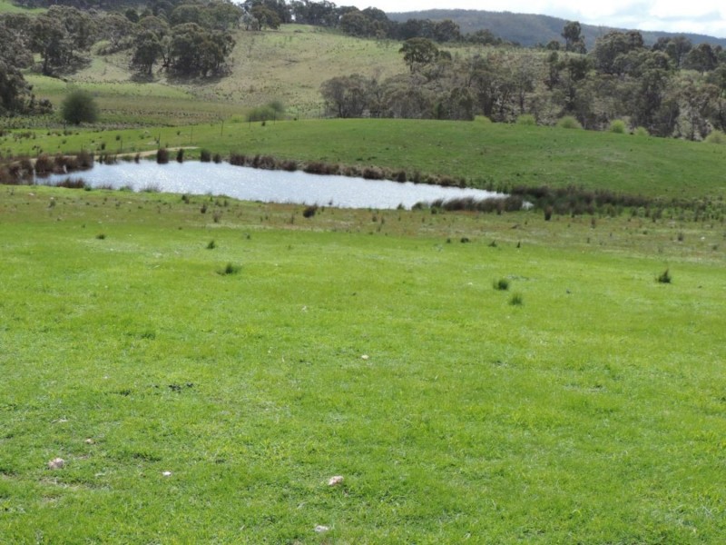 2544 Middle Arm Road, Middle Arm NSW 2580