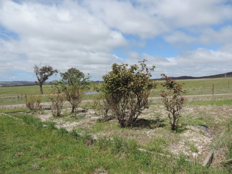 2544 Middle Arm Road, Middle Arm NSW 2580